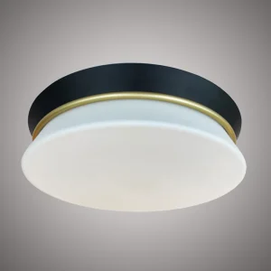 Plafonnier LED